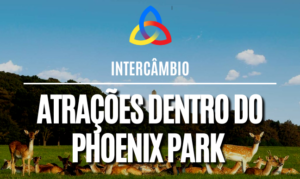 Read more about the article Atrações dentro do Phoenix Park em Dublin, Irlanda